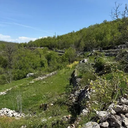 Διαμέρισμα Seoska Idila, Krivici